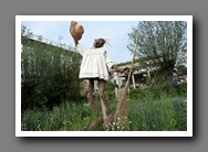 [Click to enlarge image]