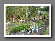 [Click to enlarge image]