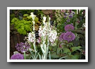 [Click to enlarge image]