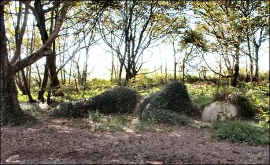 Living Sculpture - Maiden