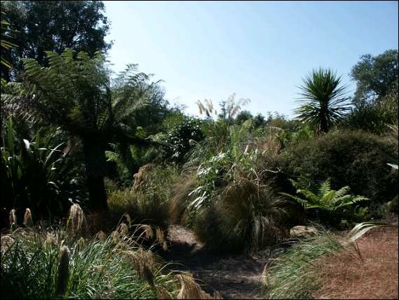 New Zealand Garden 2