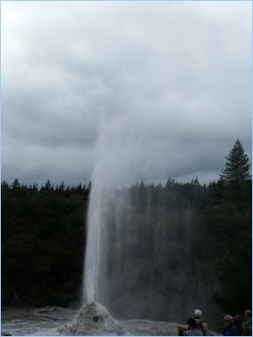 Lady Knox Geyser