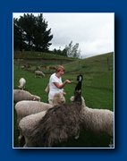 [Click to enlarge image]